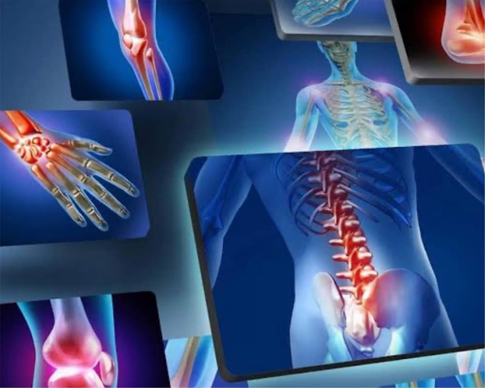 Orthopaedic