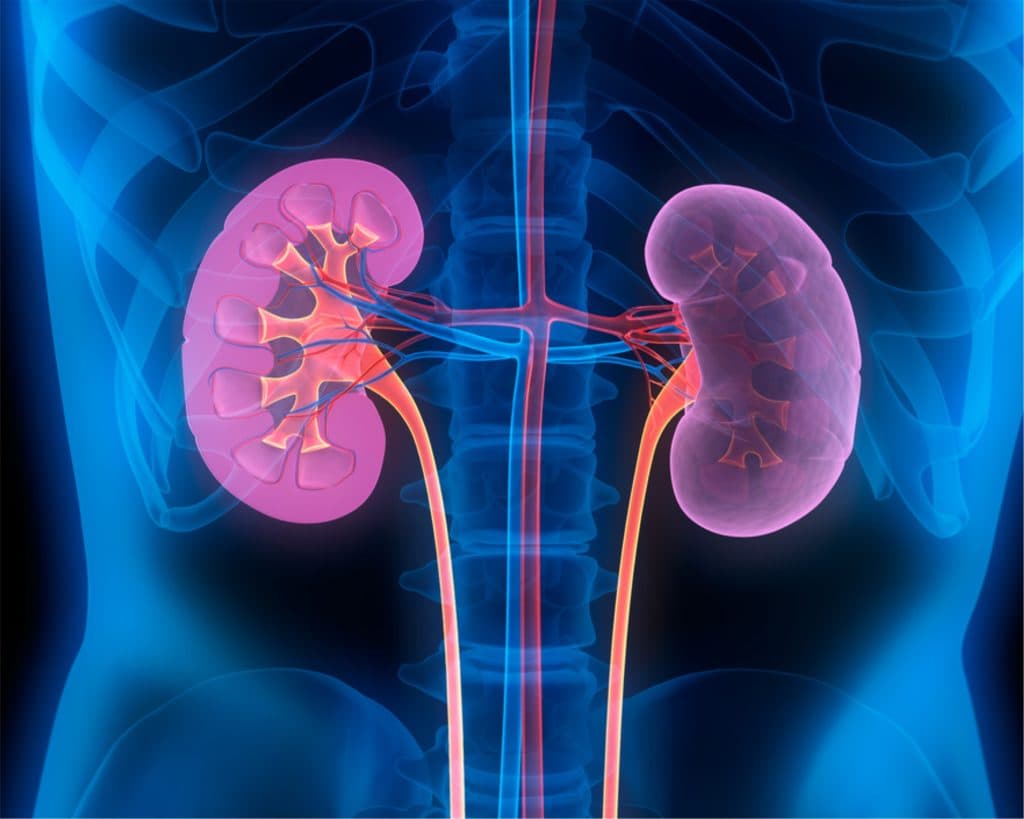 Nephrology